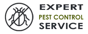 Pest Control Exterminator Mountlake Terrace WA